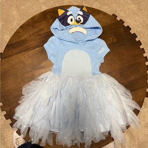 Bluey Dress - tulle skirt with hood